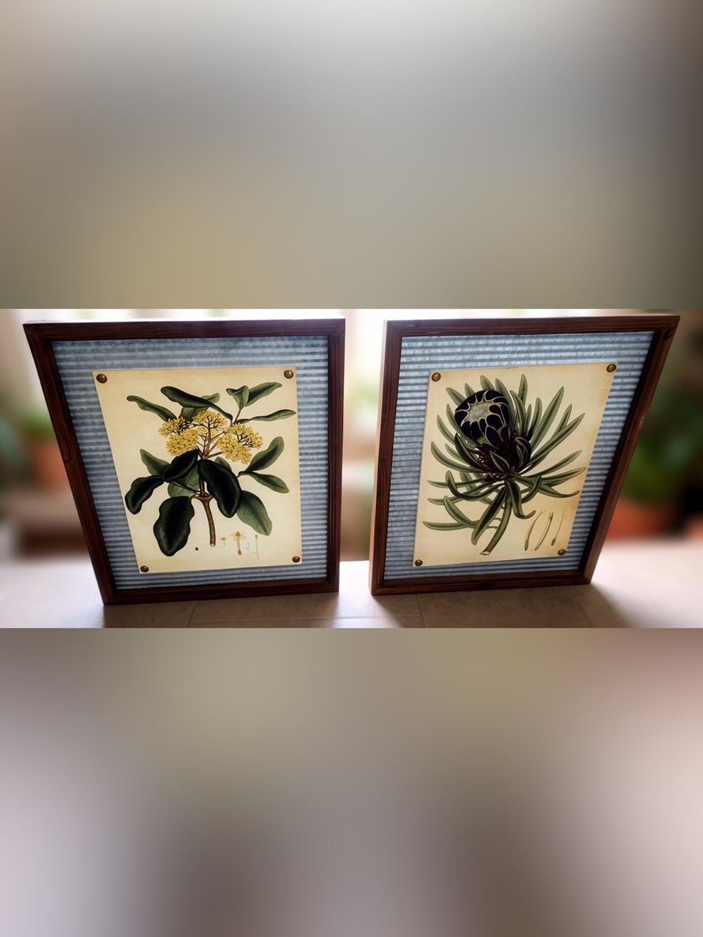 Botanical Wall Art Pair Set with Galvanized Steel Mat and Brown Wooden Frames